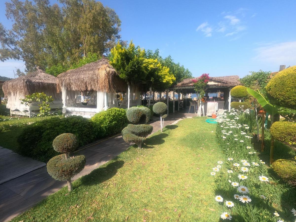 Mavi Yengec Bungalows And Hotel Orhaniye  Buitenkant foto